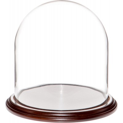 Plymor Brand 9.75" x 10" Glass Display Dome Cloche (Dark Mahogany Veneer Base) 840003144161  192572343983